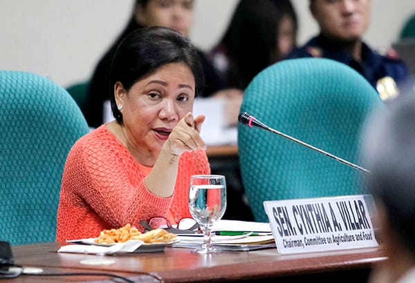 The friends of Cynthia Villar