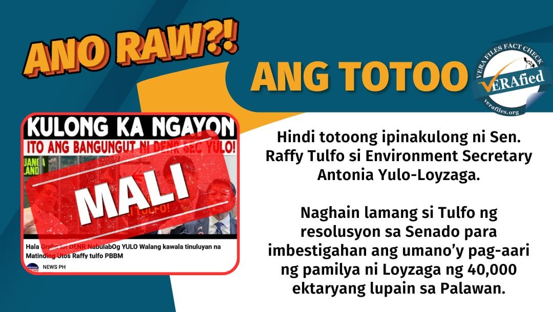 VERA FILES FACT CHECK: DENR Sec Loyzaga NOT sent to jail