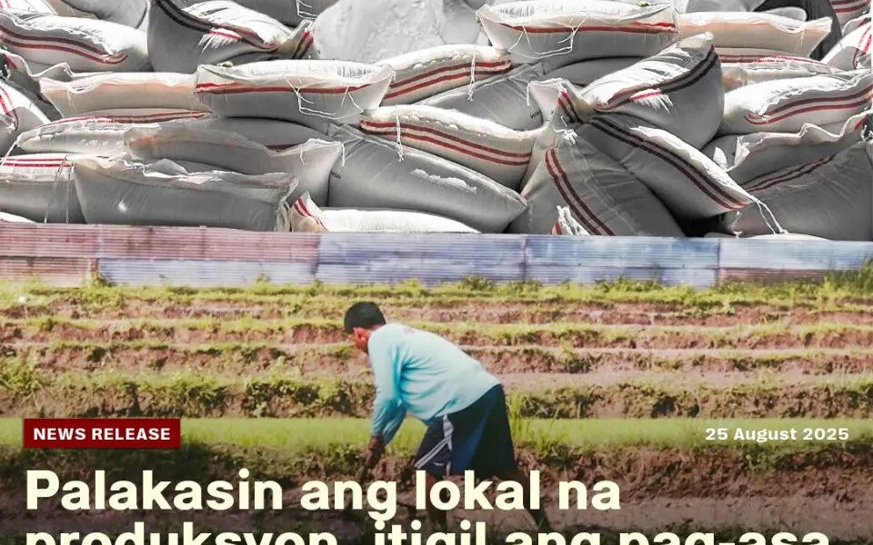 Palakasin ang lokal na produksyon, itigil ang pag-asa sa imported rice — KMP – updates from the peasant movement of the Philippines