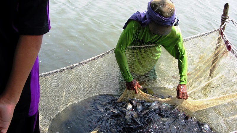 Thousands of fishers affected by Habagat demand assistance