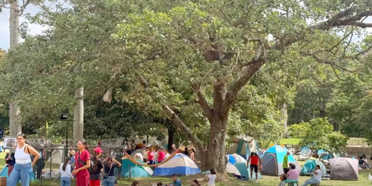 Venezuela, the ground beneath us