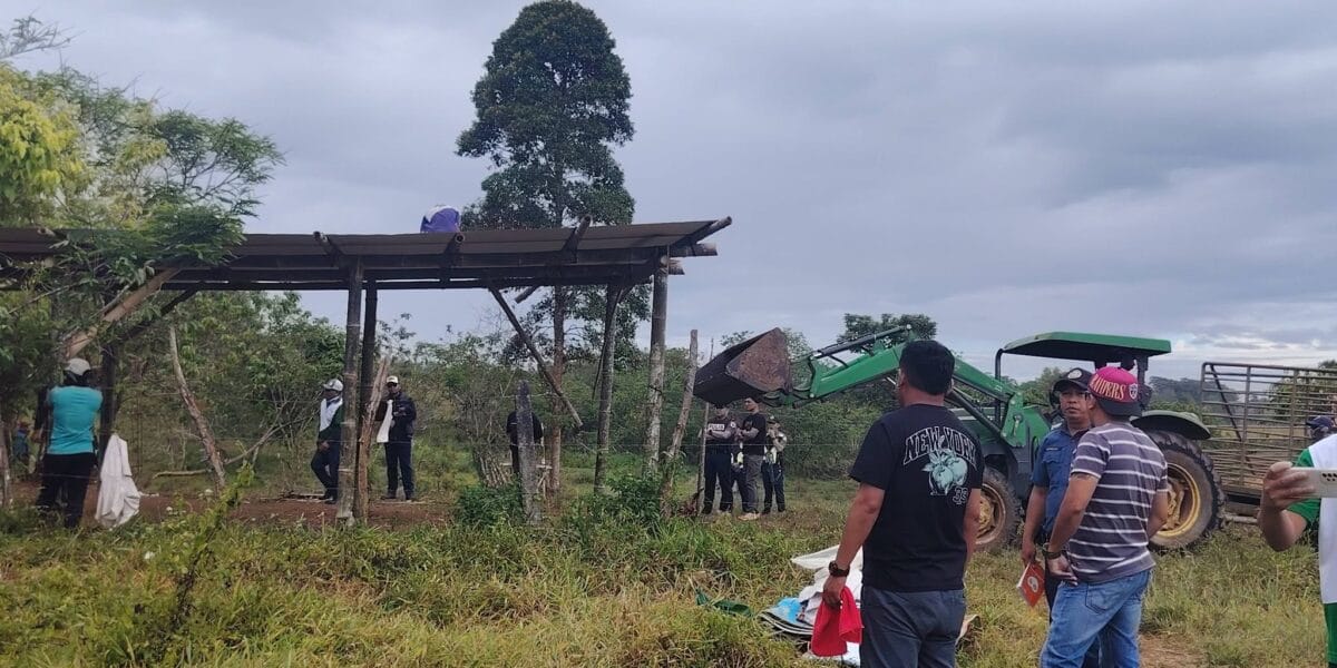 Uncertainty forces Lumad to enter disputed ancestral land in Bukidnon