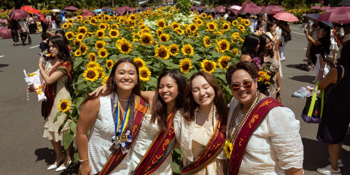 Sunflower and sablay